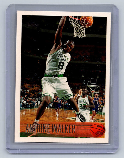 Antoine Walker, Boston Celtics, Rookie Card Lot of 4